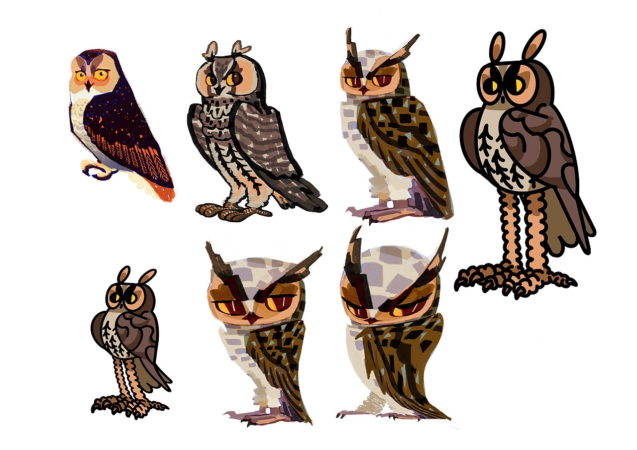 猫头鹰练习2