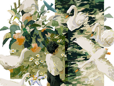分镜插画合集｜仲夏花鸟与少年