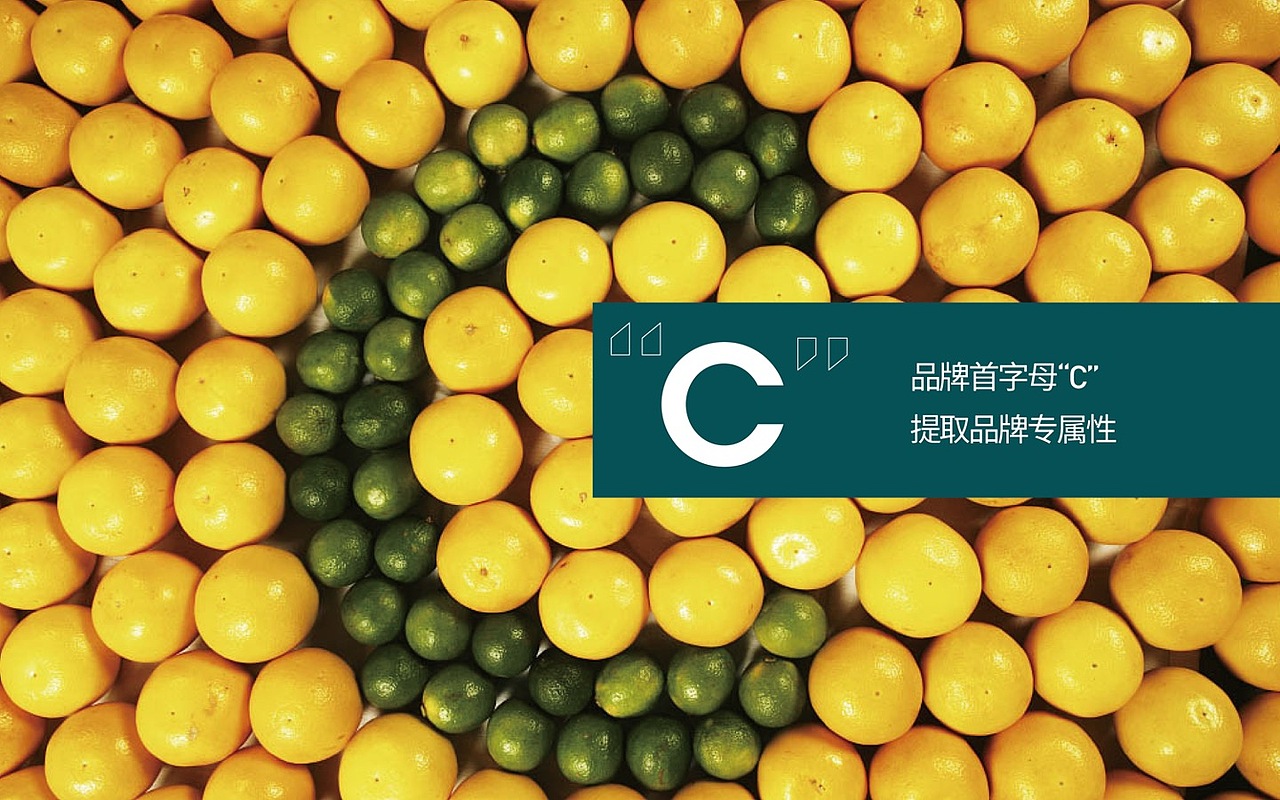 新能源 | 锂业公司标志设计提案