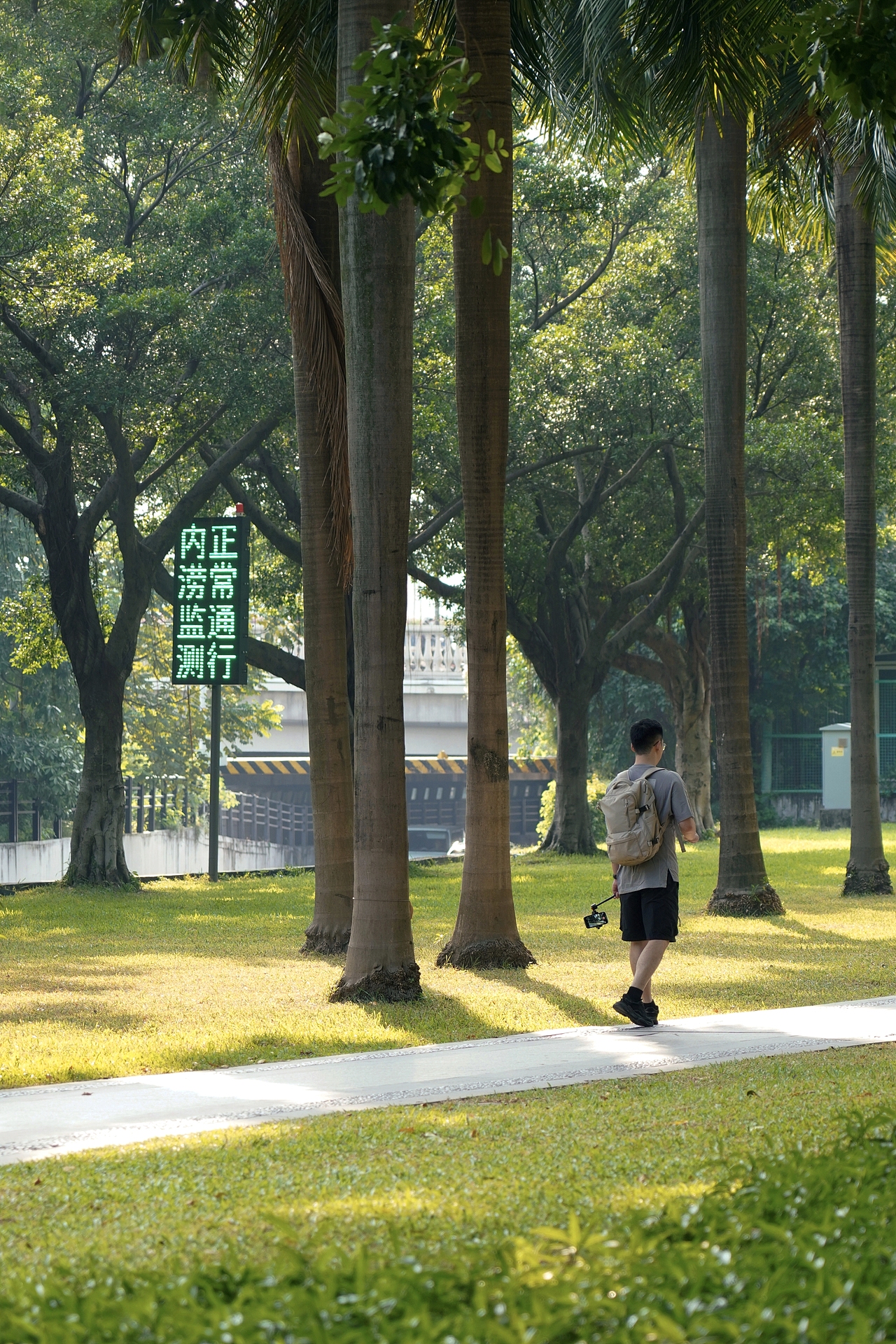 笑死,最后还是剪视频去了