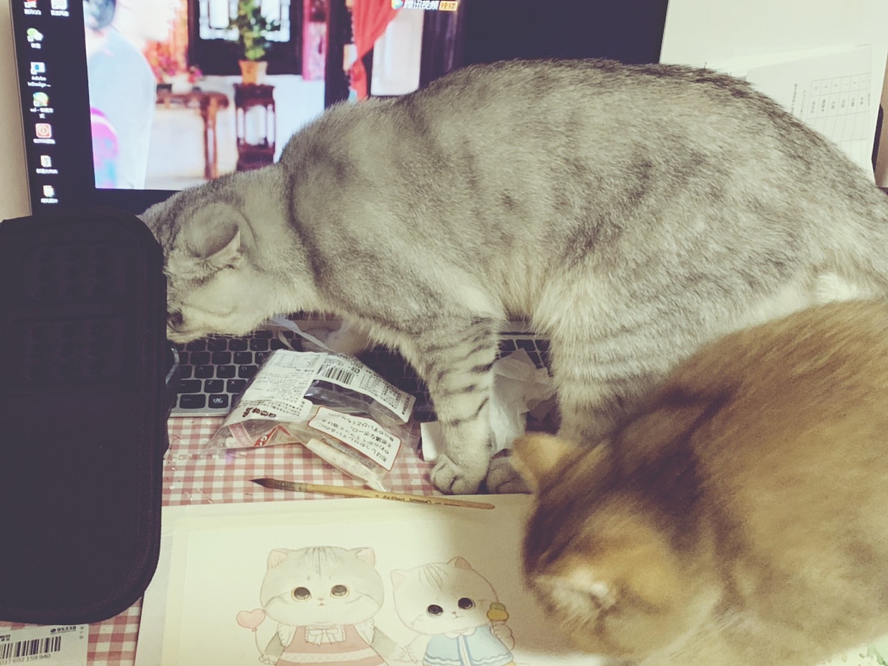 【我家猫不是喵】大傻Ni和卖萌Miu（图ZMjQyMjc1Nzky） - 商业插画 - 站酷设计师福阿包原创素材 - 站酷ZCOOL