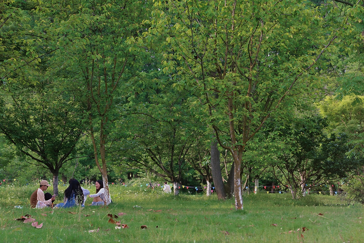 逛公园才是正经事