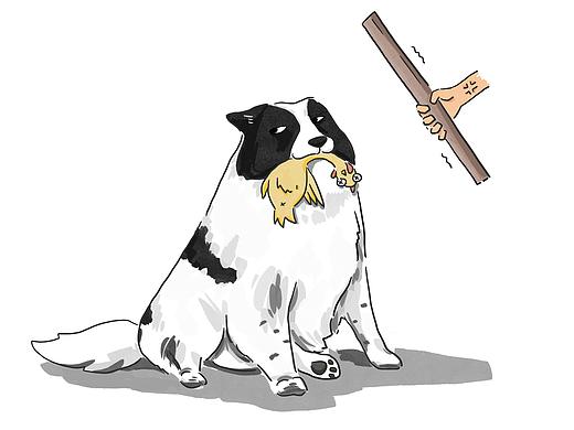 民宿萌宠日常合计（个人主页-ZNDI2OTU5MTY=） - 儿童插画 - 站酷设计师Leia_Q原创素材 - 站酷ZCOOL