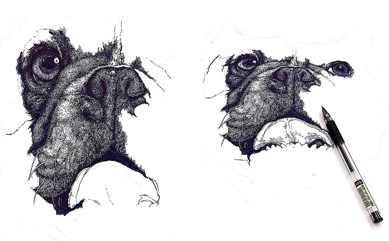 大一插画（图ZMTY5OTk1OTQ0） - 创作习作 - 站酷设计师大丌原创素材 - 站酷ZCOOL