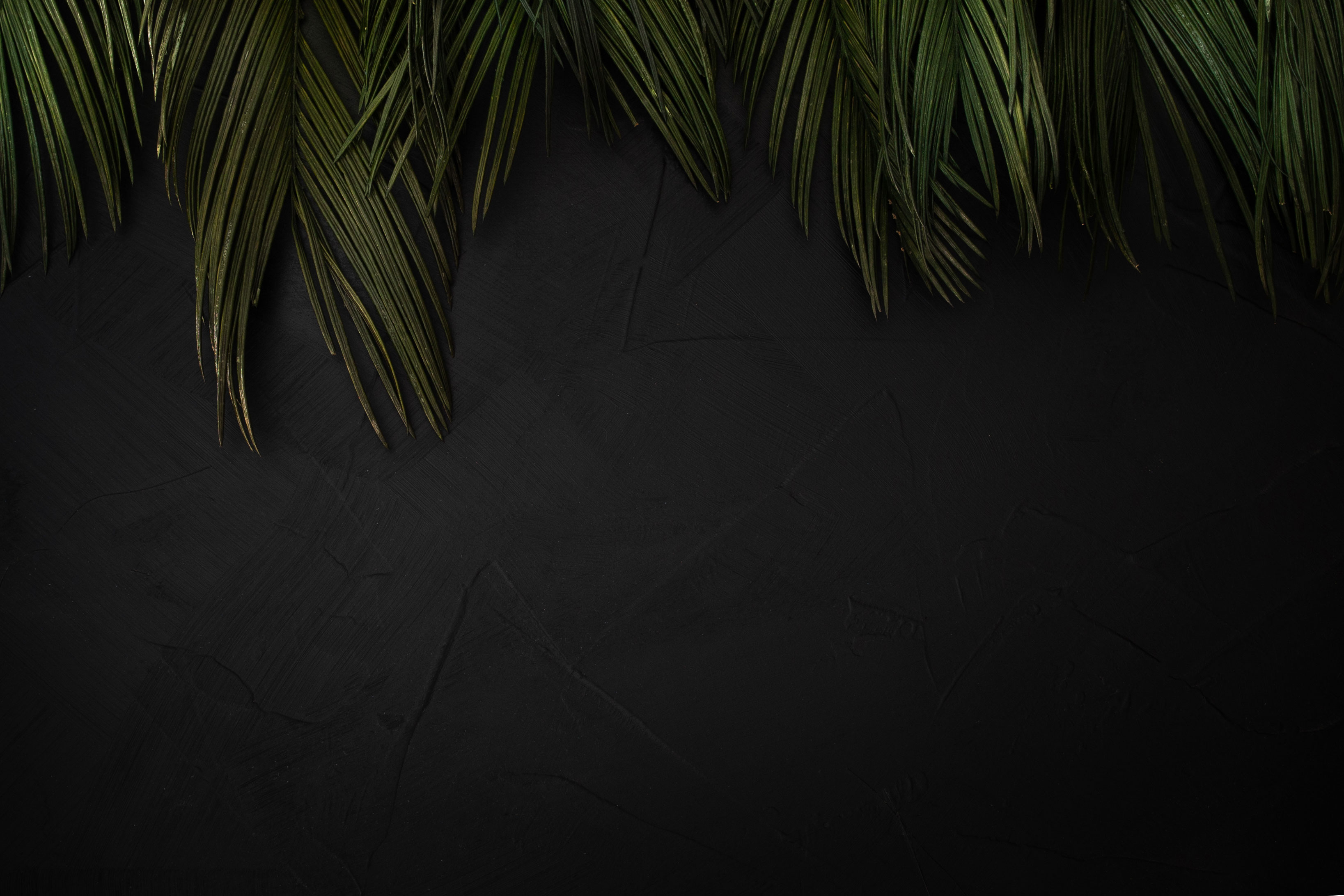 八怪婆婆的個人主頁（封面預(yù)覽） - 主頁封面設(shè)置 - 站酷設(shè)計(jì)師八怪婆婆原創(chuàng)素材 - 站酷ZCOOL