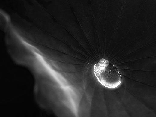 荷 言 