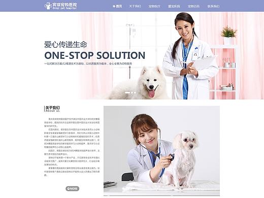宾琪宠物医院官网