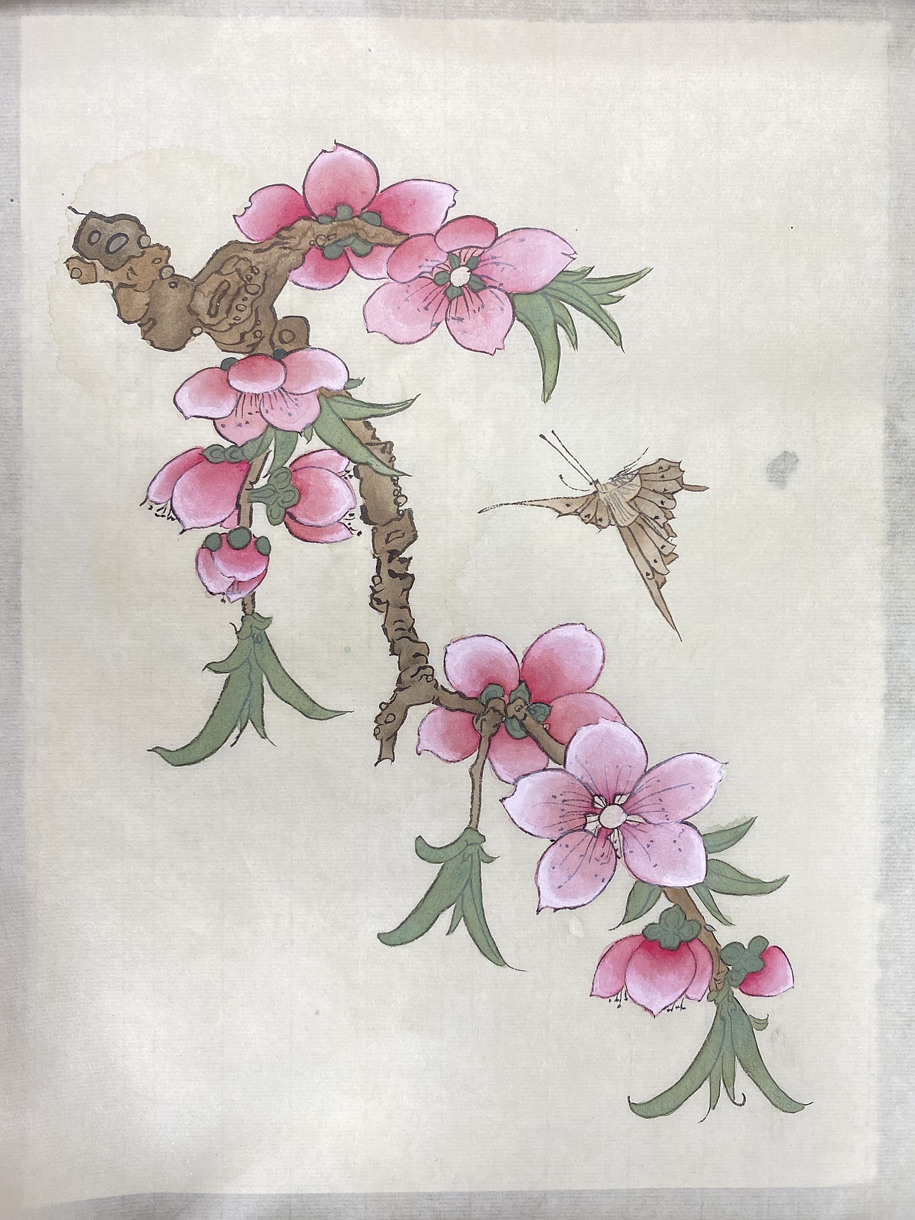 工笔花鸟（图ZMzM2MjM1NDA4） - 绘画 - 站酷设计师章红红原创素材 - 站酷ZCOOL