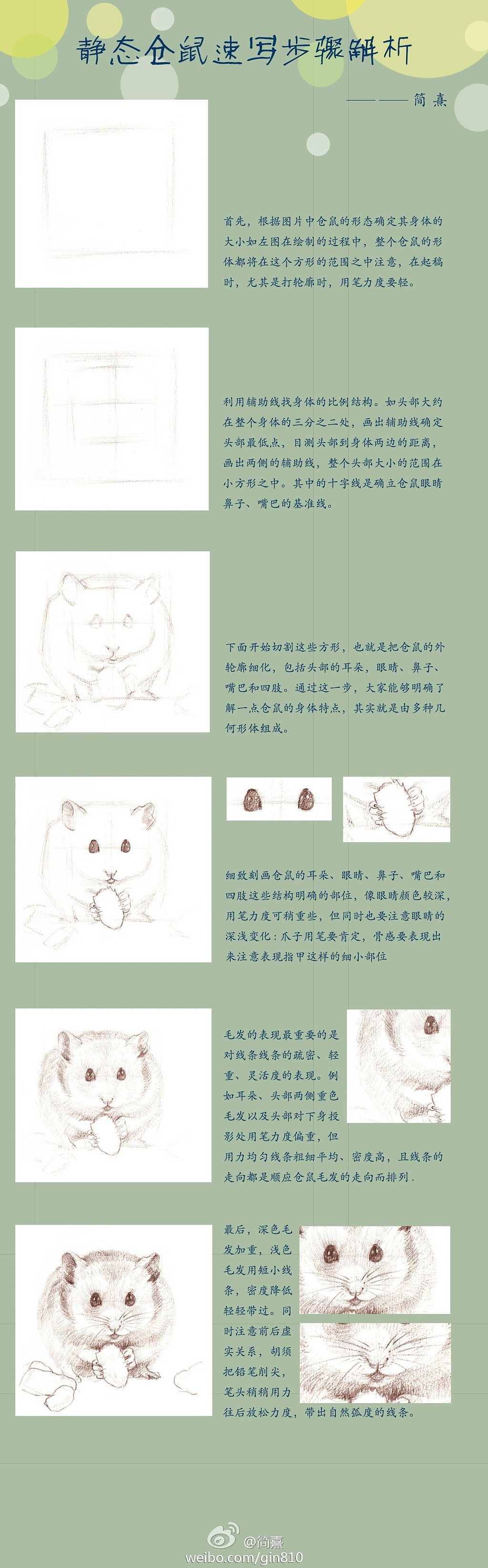 动态和静态仓鼠速写步骤图