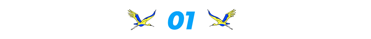 Your Life Adventure 插畫