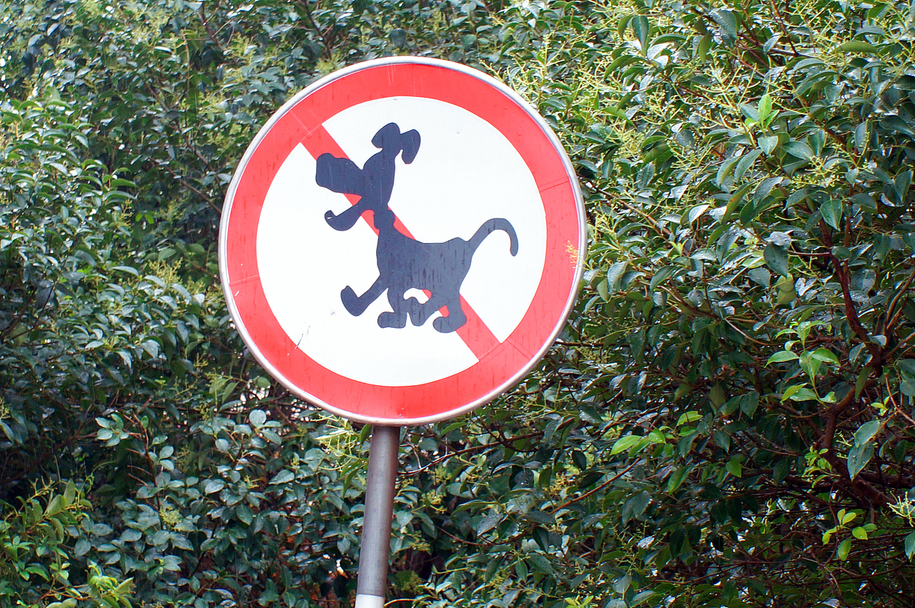 before 9am, after 6pm 【red】