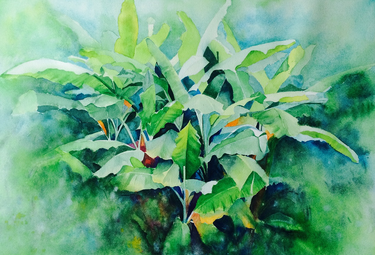 成都/艺术工作者/6年前/474浏览路加水彩