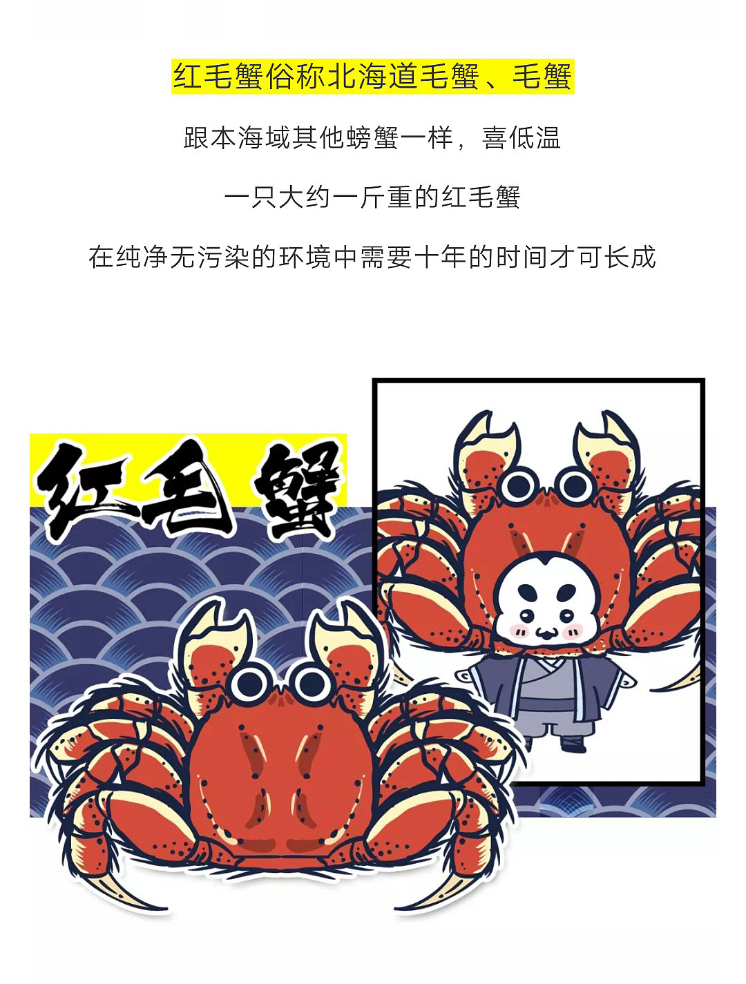 阿夹的假期到日本吃吃吃（螃蟹篇）（图ZMTgzNzYwMjky） - 短篇/格漫 - 站酷设计师啾啾的JUJU原创素材 - 站酷ZCOOL
