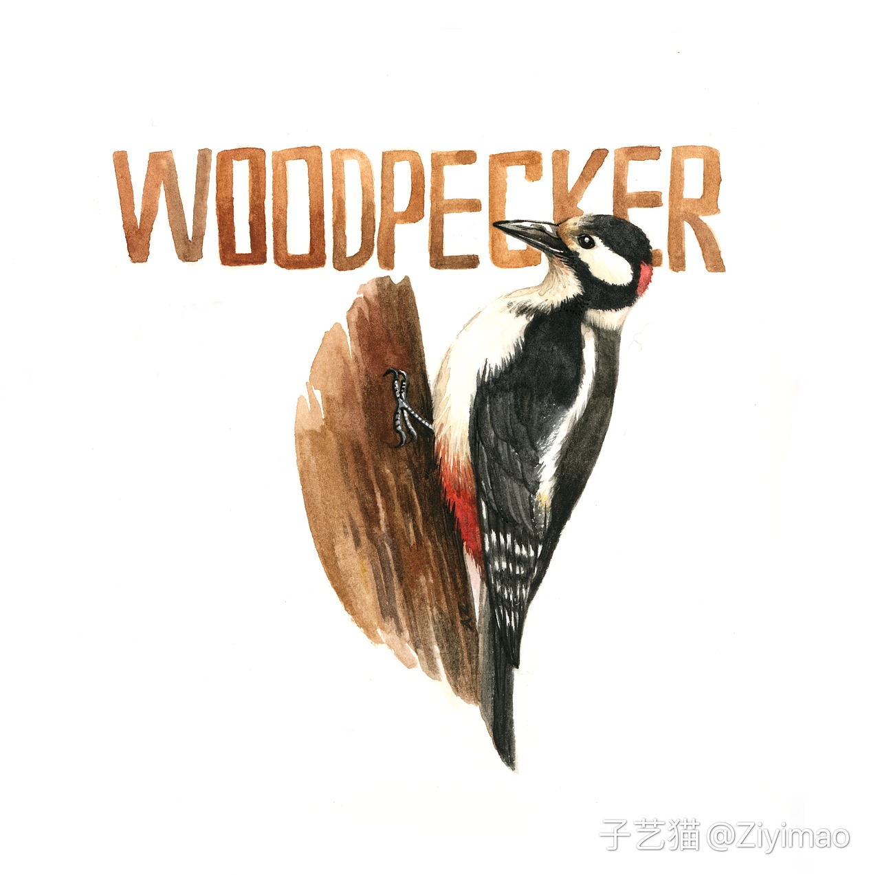 水彩-IELTS词汇书插图（图ZMTk1NDI0ODEy） - 商业插画 - 站酷设计师子艺猫原创素材 - 站酷ZCOOL