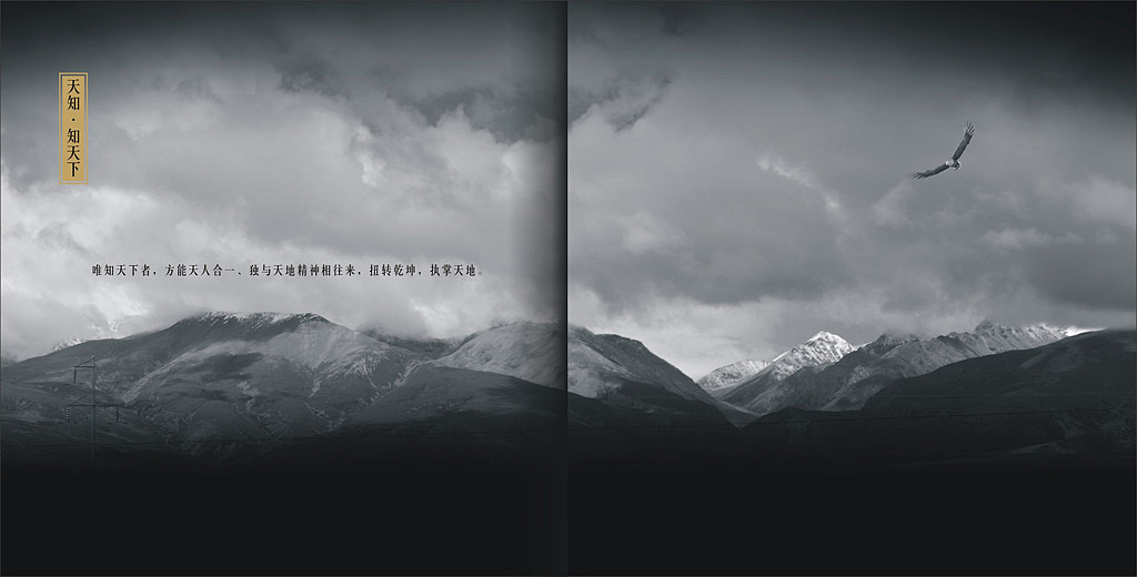 终端设计——天知（图ZODcxNzc1OTY=） - 品牌 - 站酷设计师Dinz平原创素材 - 站酷ZCOOL