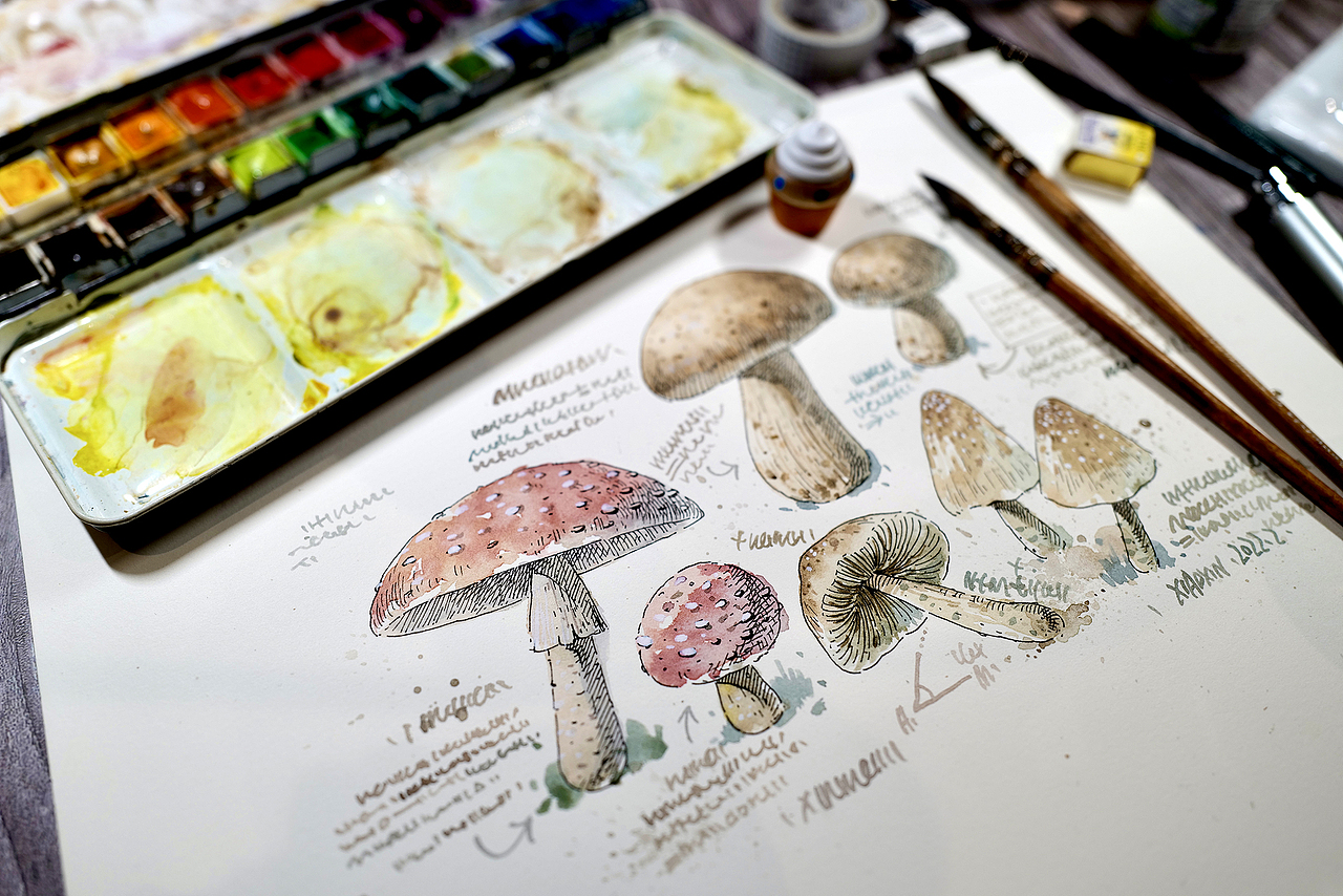 钢笔淡彩班课堂示范(图ZMjg4MDQ2OTMy) - 儿童插画 - 站酷设计师小新插画原创素材 - 站酷ZCOOL