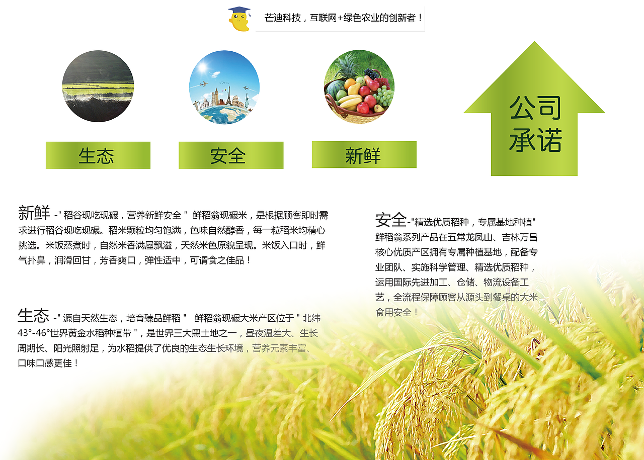 芒迪科技产品手册（画册）