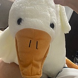 hdhdhs的头像