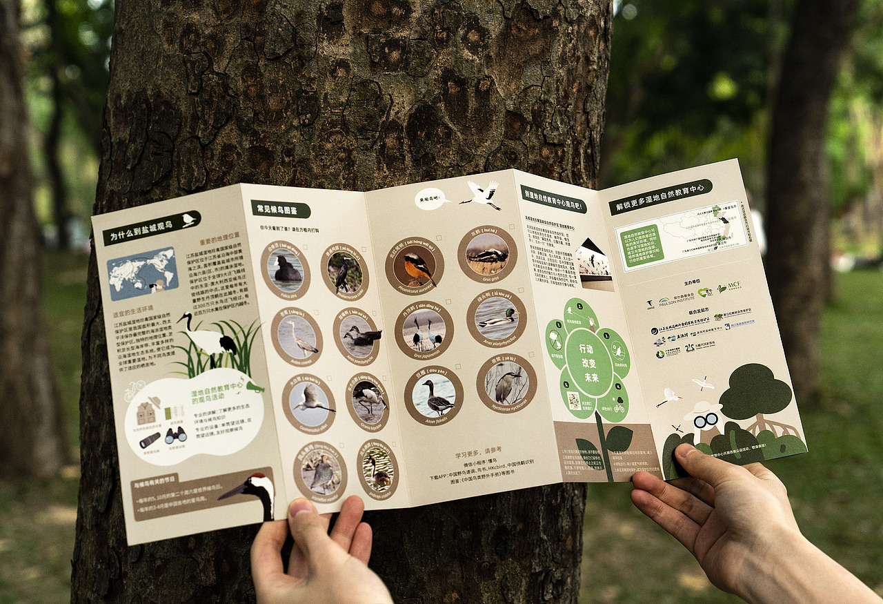 世界候鸟日-观候鸟折页及海报