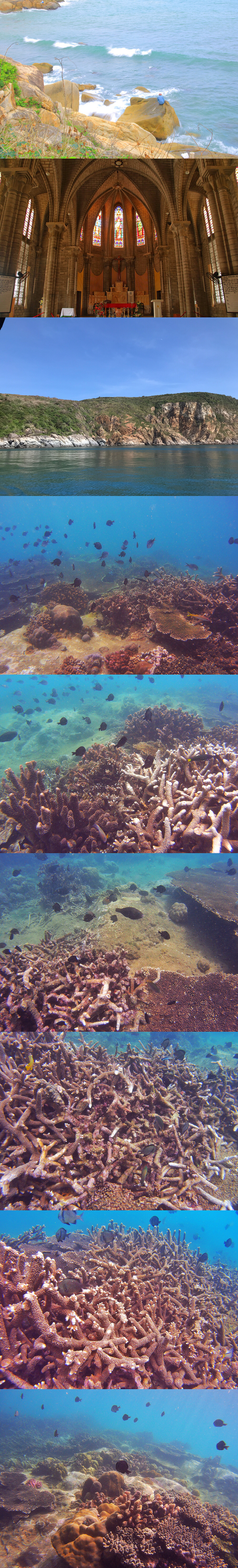 我的摄影作品合集