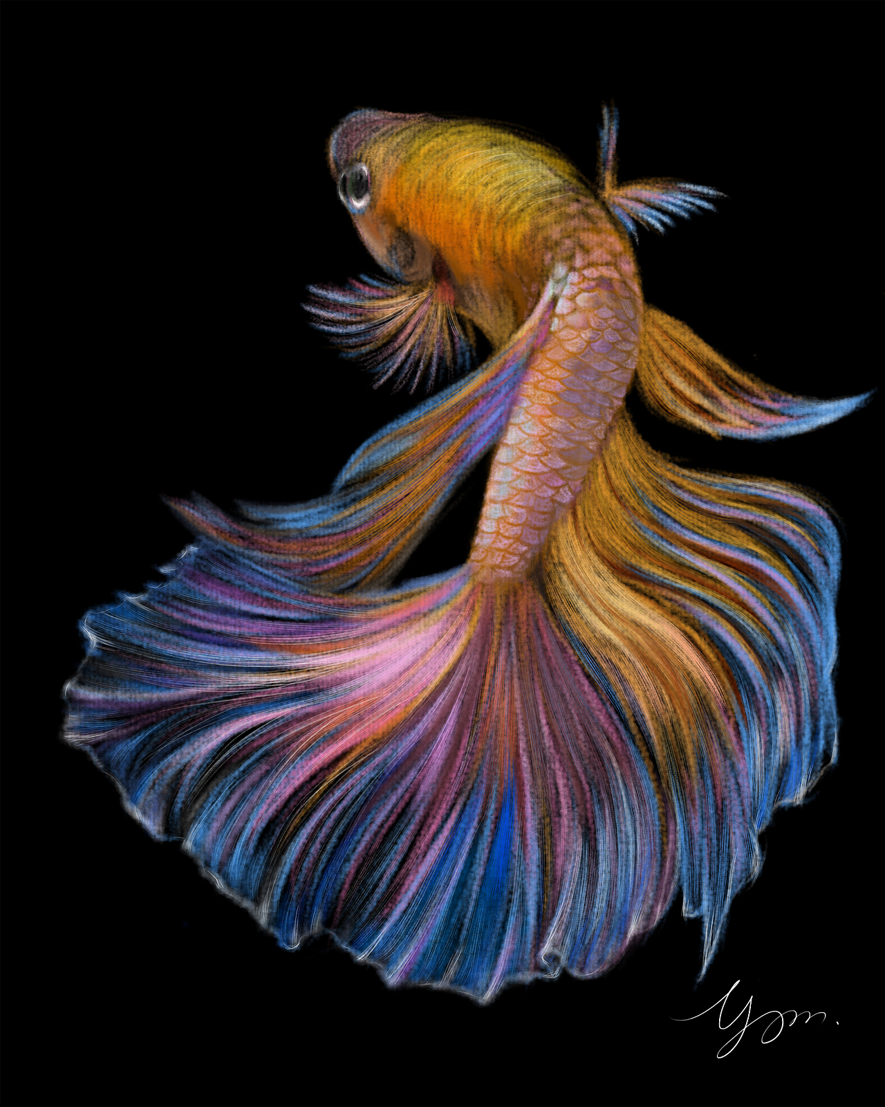 斗鱼（图ZMjE1MTk2NDky） - 创作习作 - 站酷设计师余小妍原创素材 - 站酷ZCOOL