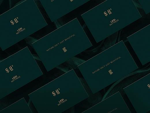 乐丝家具（床垫）品牌视觉升级策略分享