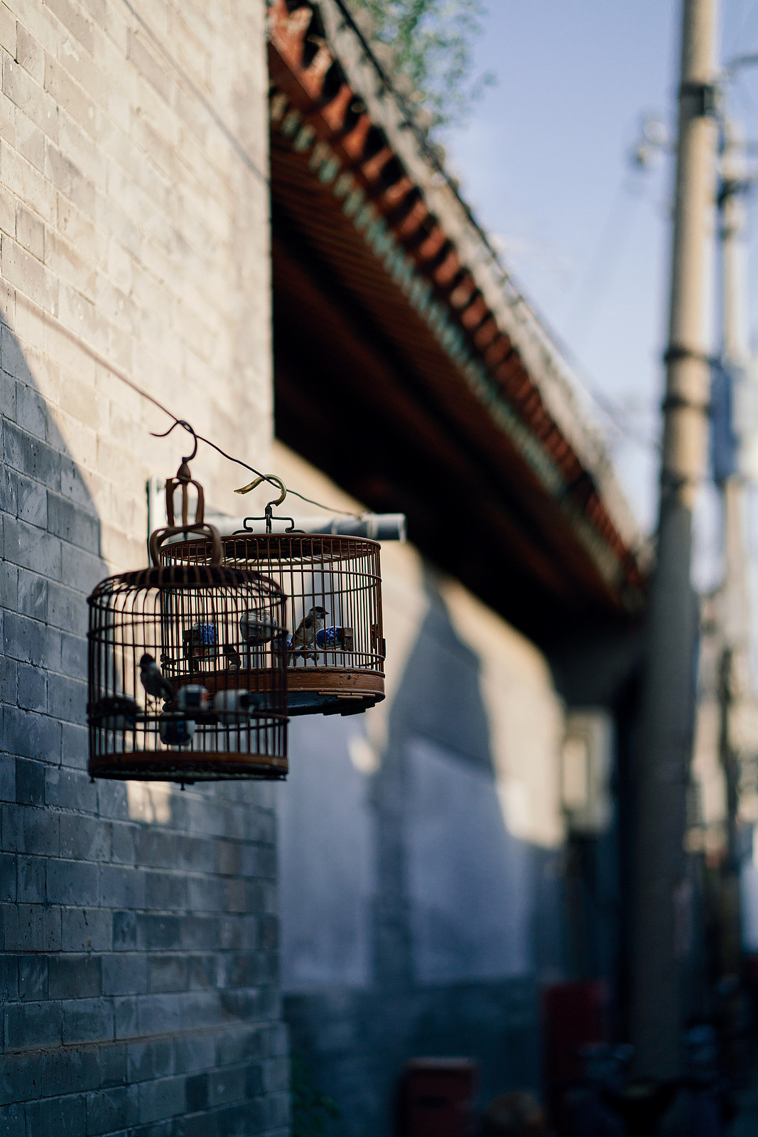 夏日北京胡同的百姓生活