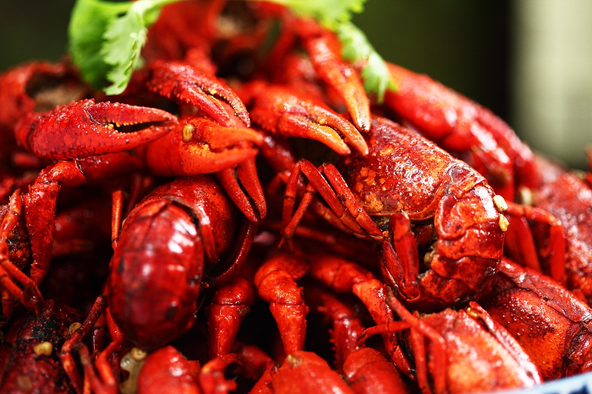 菜男油焖大虾，更新菜谱，淡定不了今天晚上宵夜就吃这个吧（图ZMTYwMzMxNDg=） - 产品摄影 - 站酷设计师菜男原创素材 - 站酷ZCOOL
