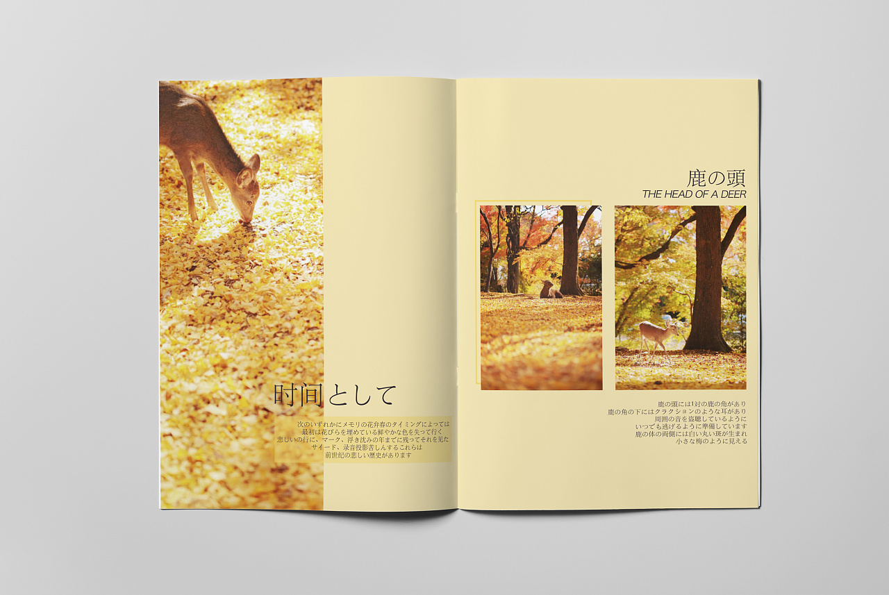 日系画册/梅花鹿/日本