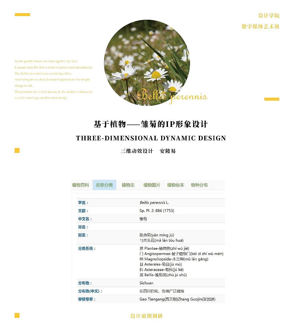 基于植物雏菊的ip形象设计