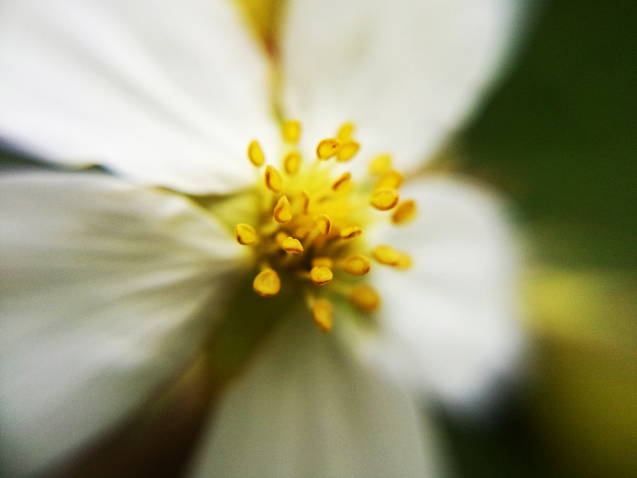 手机摄影拍拍拍~（图ZNTQyODY5NjA=） - 产品摄影 - 站酷设计师一大口黑锅原创素材 - 站酷ZCOOL