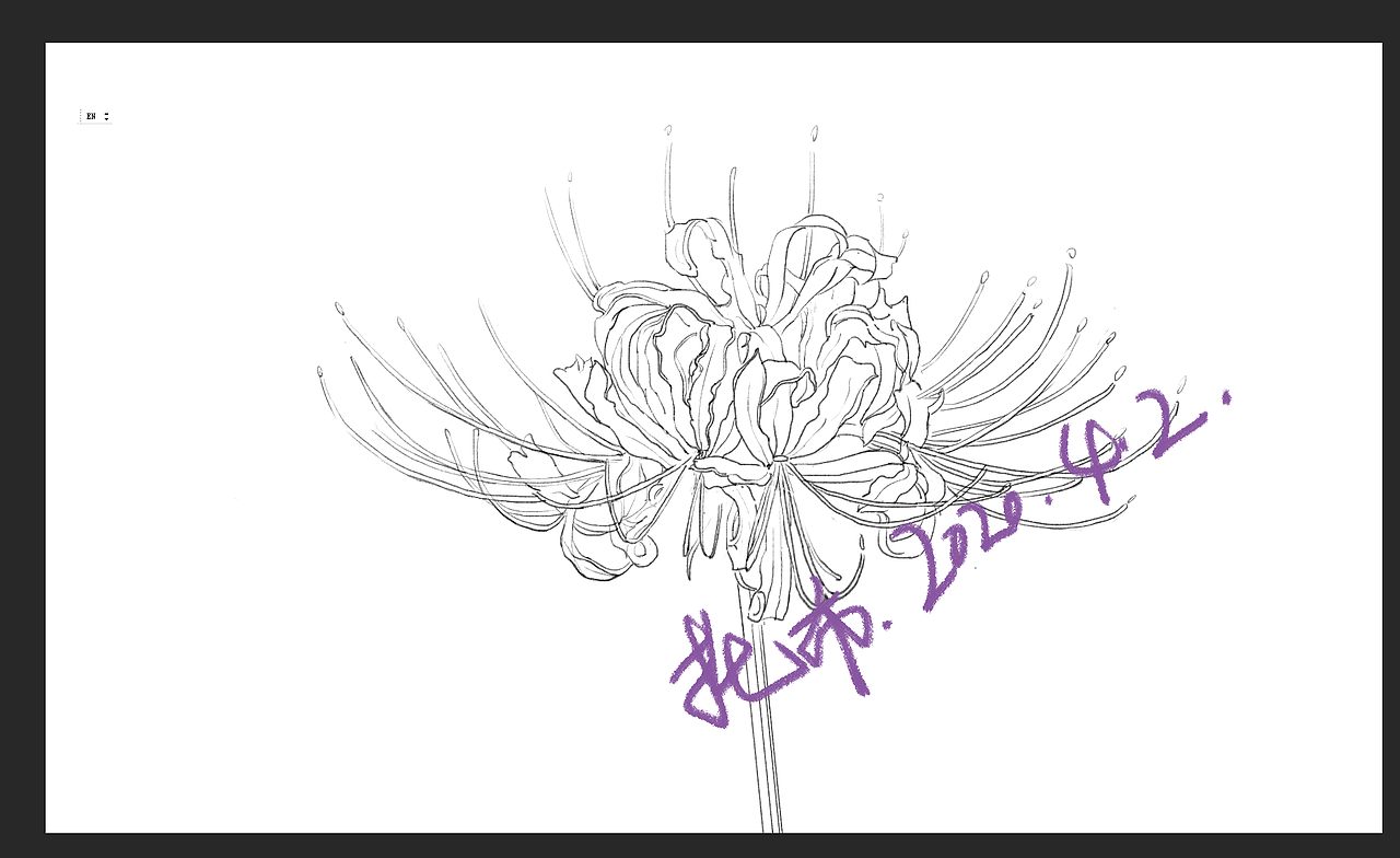 彼岸花纹身线稿