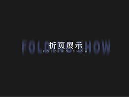 政府项目