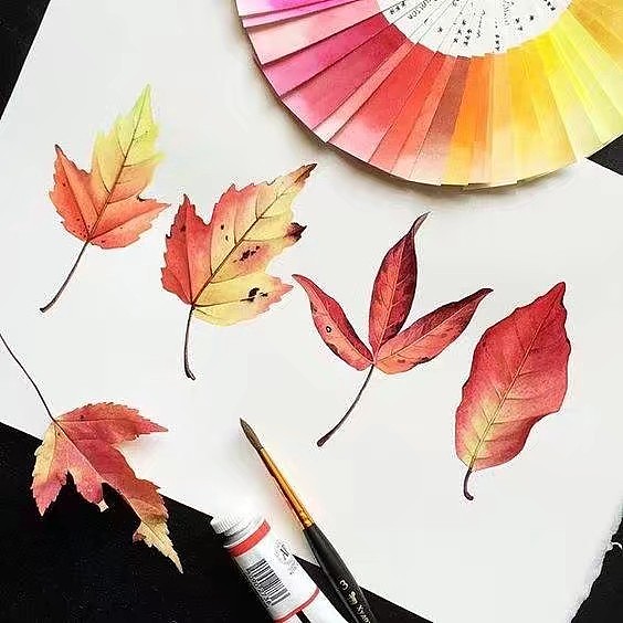 清新手绘（图ZMTI5Mjc0NjUy） - 艺术插画 - 站酷设计师一只虎斑喵呀原创素材 - 站酷ZCOOL