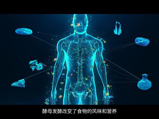 安琪酵母起源