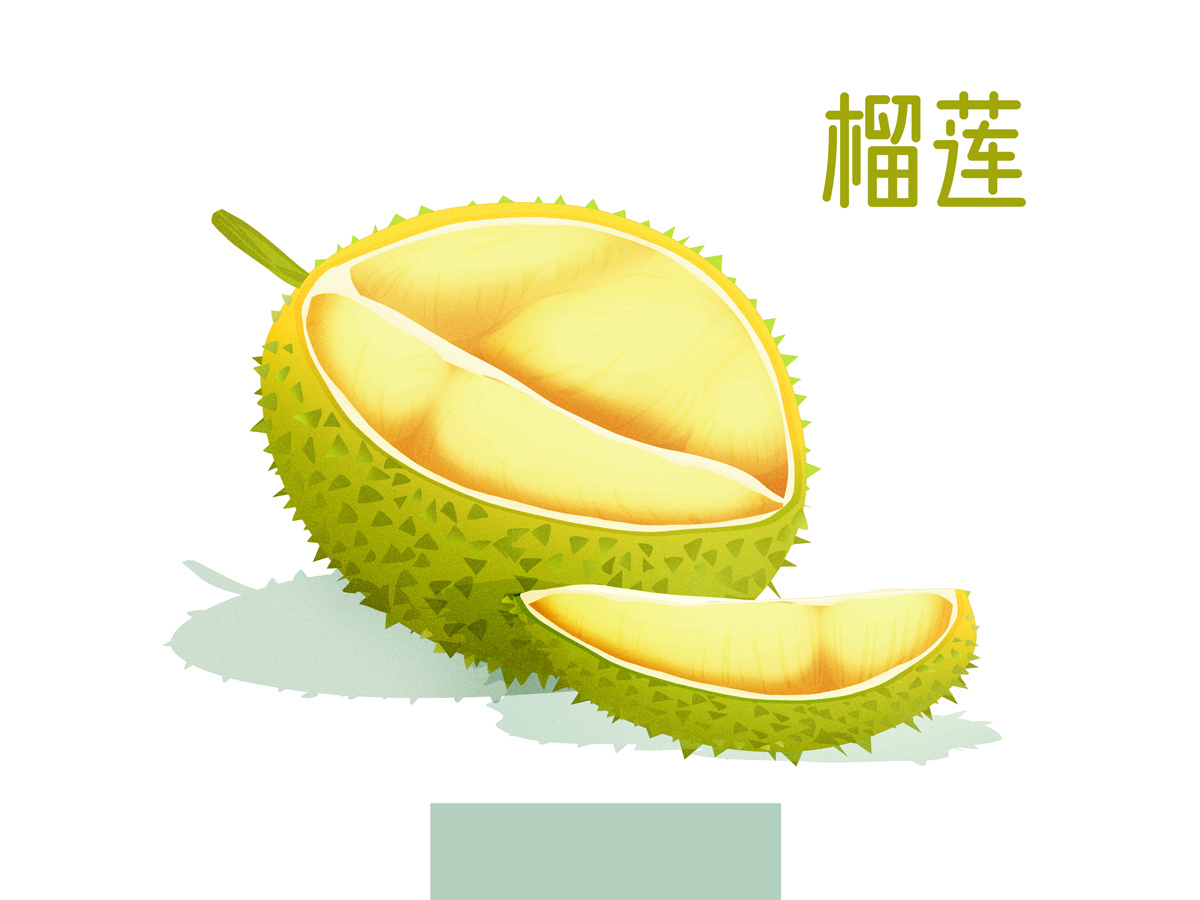 水果:榴莲|插画|商业插画|山人满 - 原创作品 - 站酷 (zcool)
