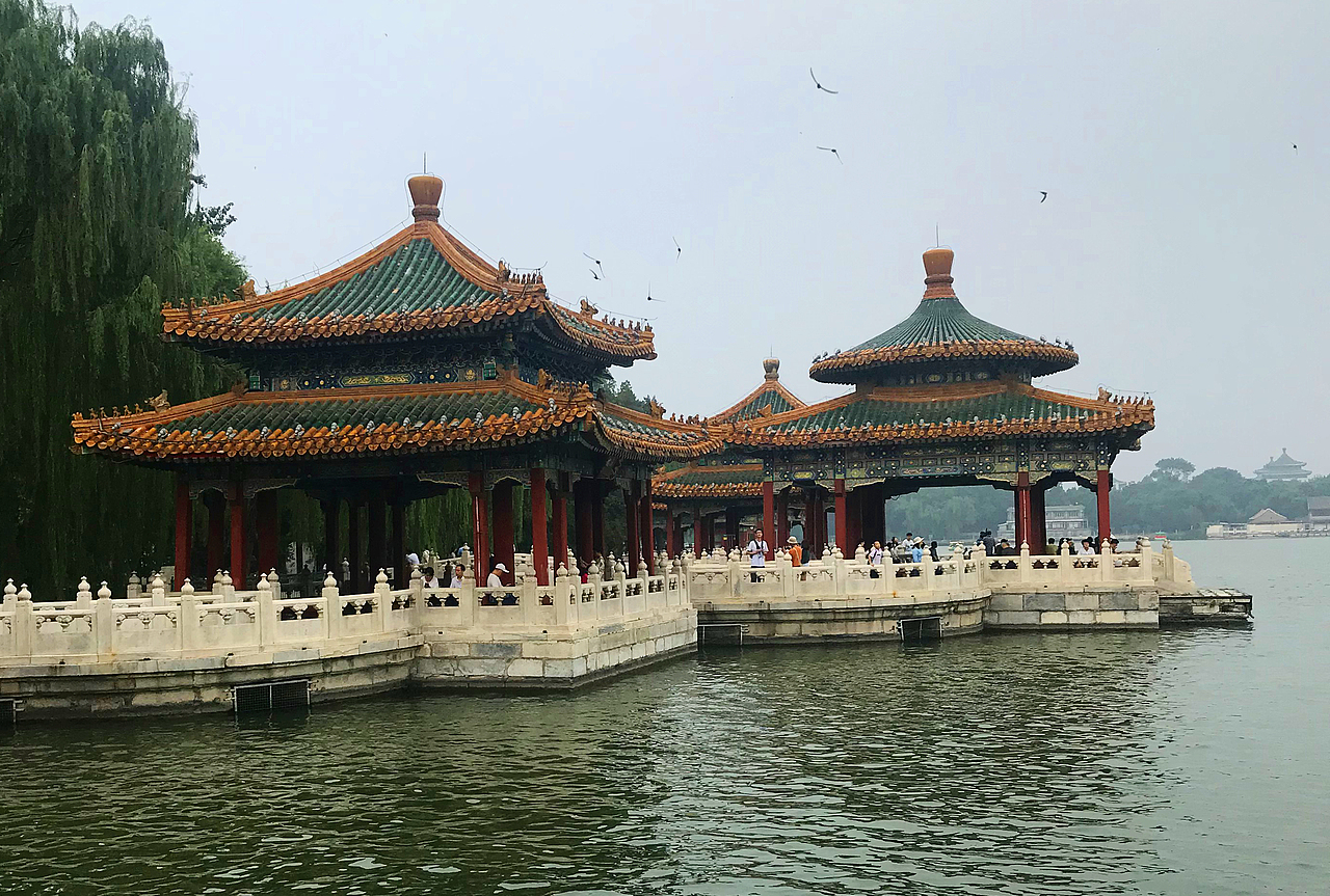 随手拍北京北海公园白塔荷花