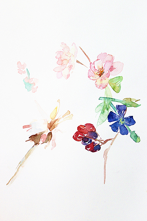 第3期水彩插画全日班学员作品(一)