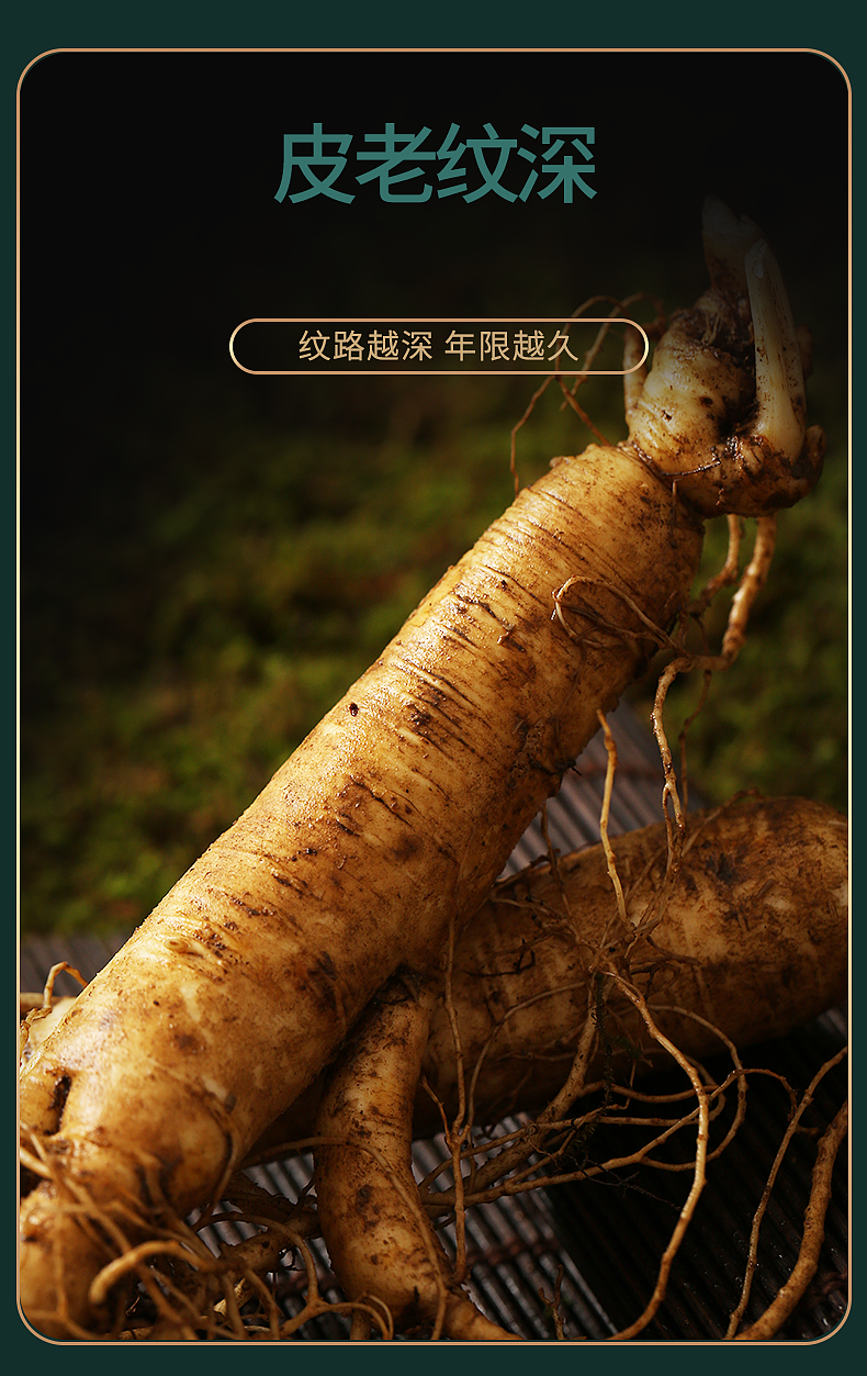 滋类目主图视频