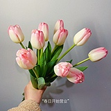 小小矮人Aimee的头像