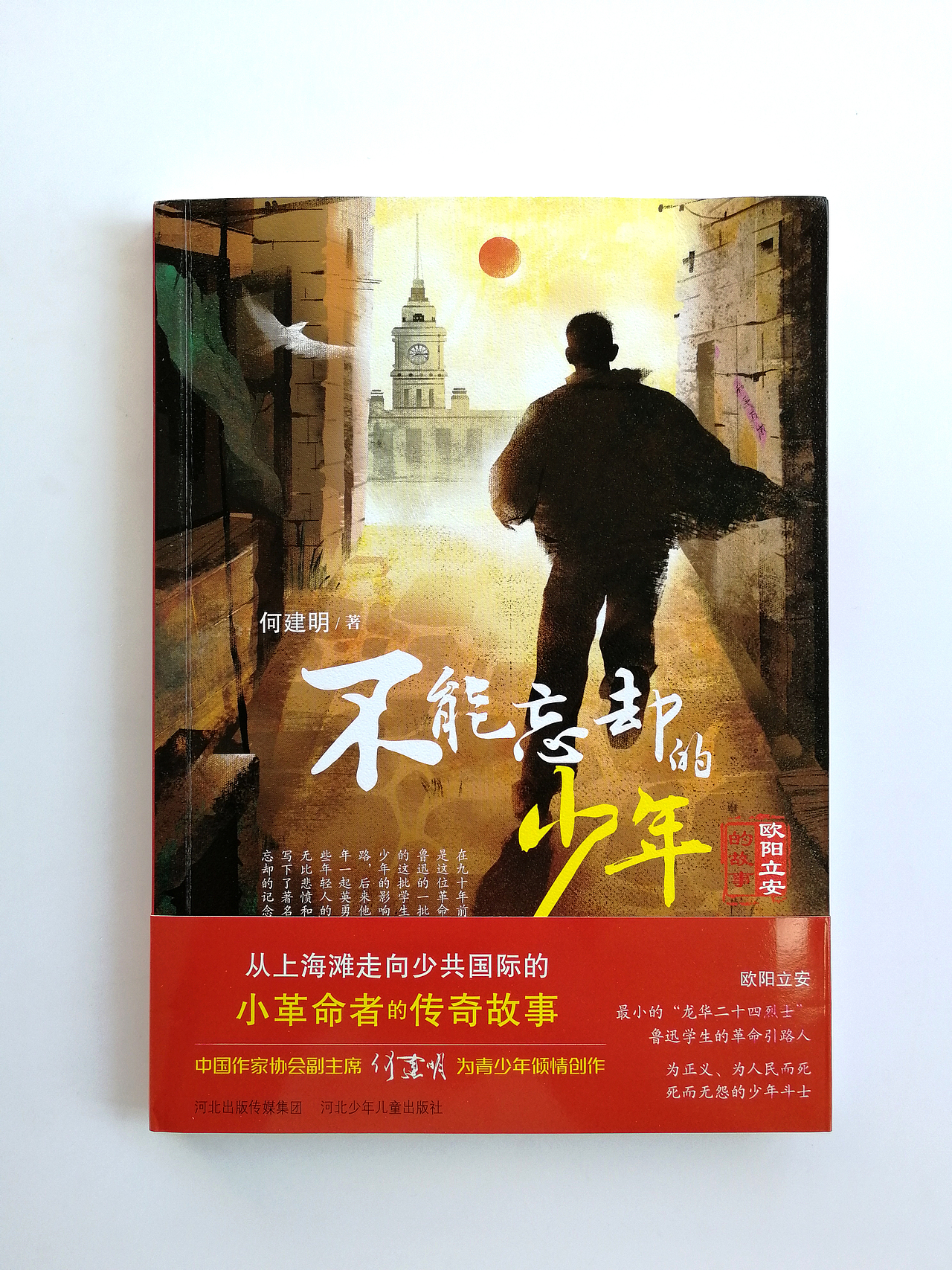 书籍封面插画-《不能忘却的少年-欧阳立安的故事》