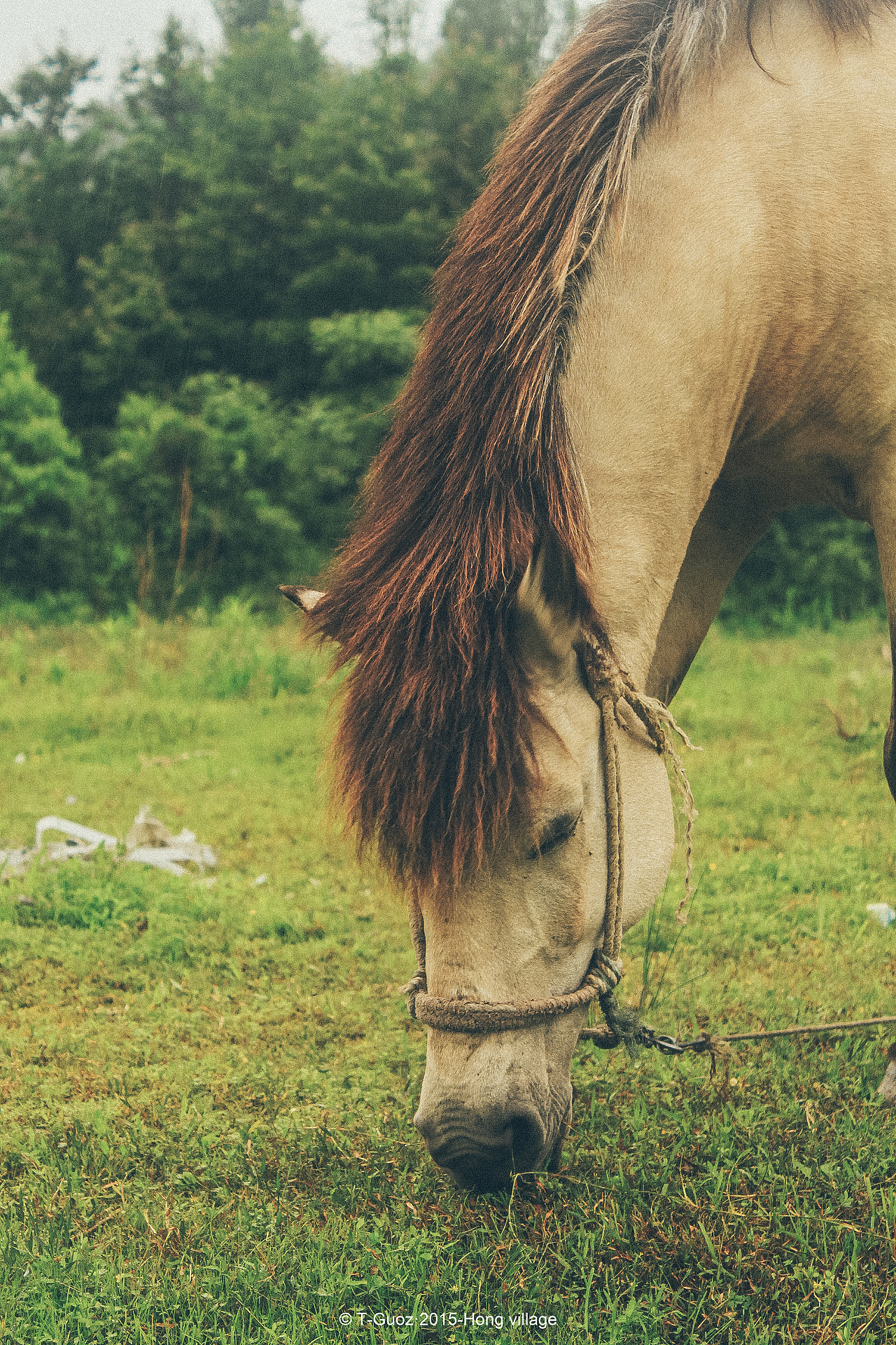 摄影游记-徽州古镇西递宏村（图ZMTMzODYyNDU2） - 环境/建筑摄影 - 站酷设计师T_Groz果子原创素材 - 站酷ZCOOL