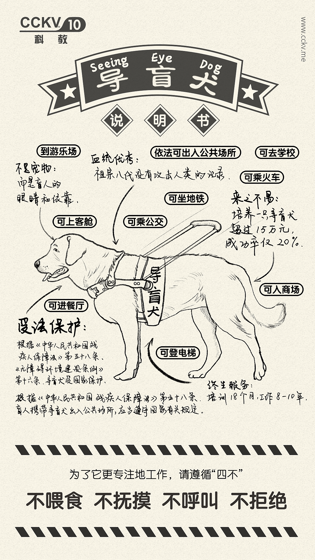 《导盲犬》公益广告 CCKV®️周刊 No.46（图ZMjA3Mzc5NzQ4） - 商业插画 - 站酷设计师飞云流星原创素材 - 站酷ZCOOL
