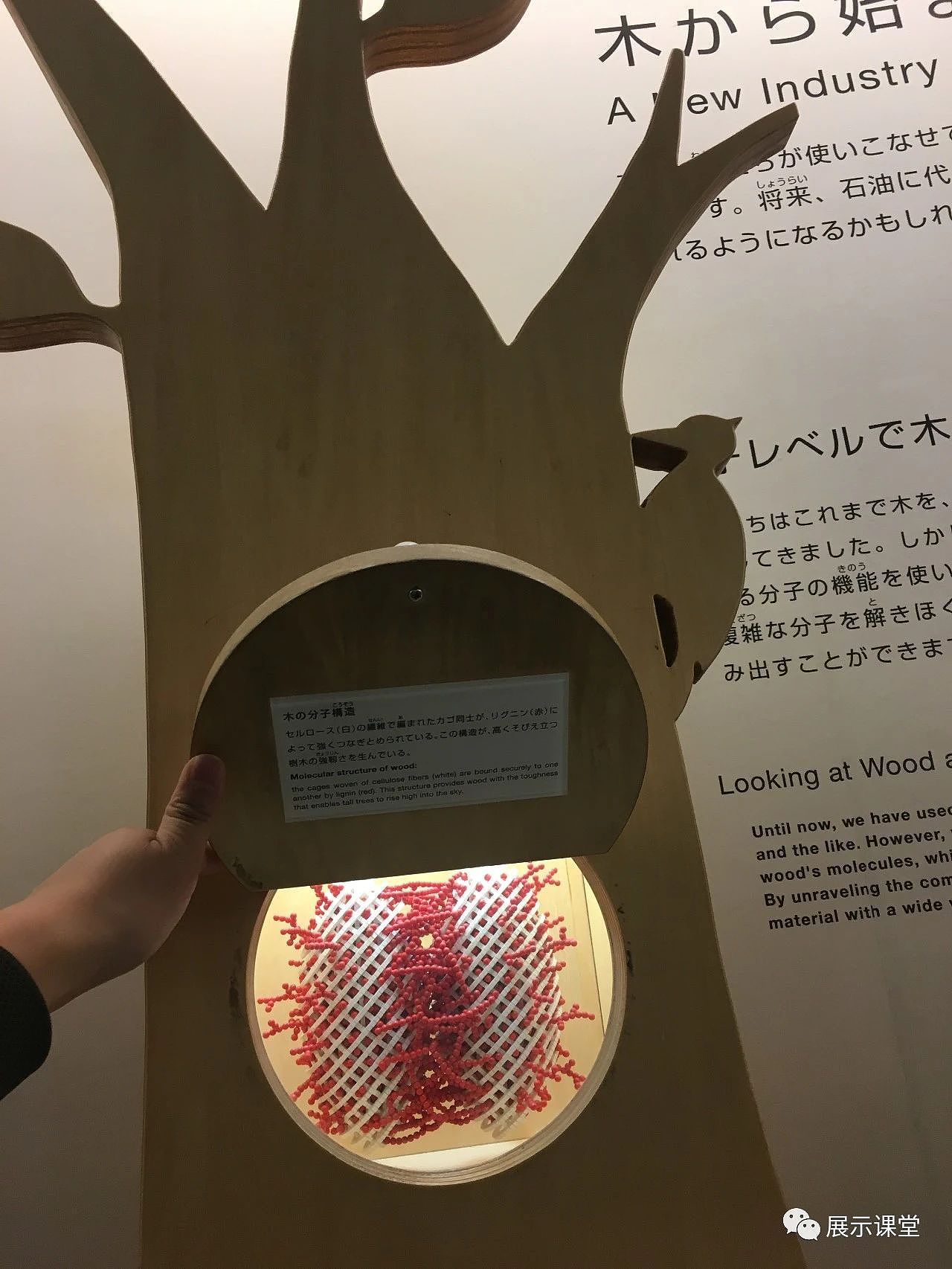 学生科普答题区：设置在比较开阔的公共缓冲区，趣味性的造型以及舒适地毯的搭配，增加了学生积极参与的互动性