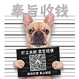 星空曲目的头像