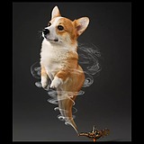 用户头像
