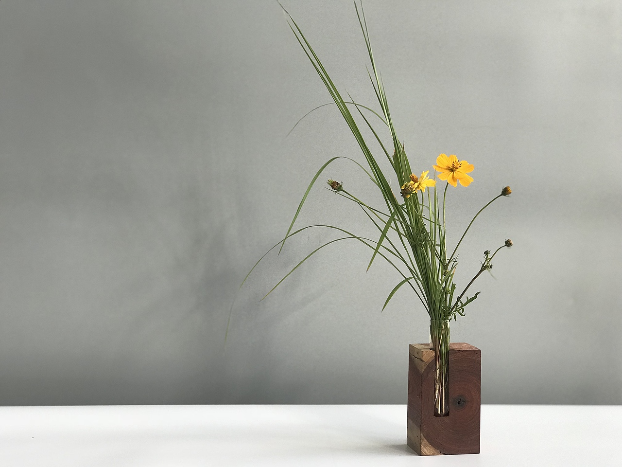 花器 Floral organ（图ZOTg0NTgwNTI=） - 实验艺术 - 站酷设计师谈木集原创素材 - 站酷ZCOOL