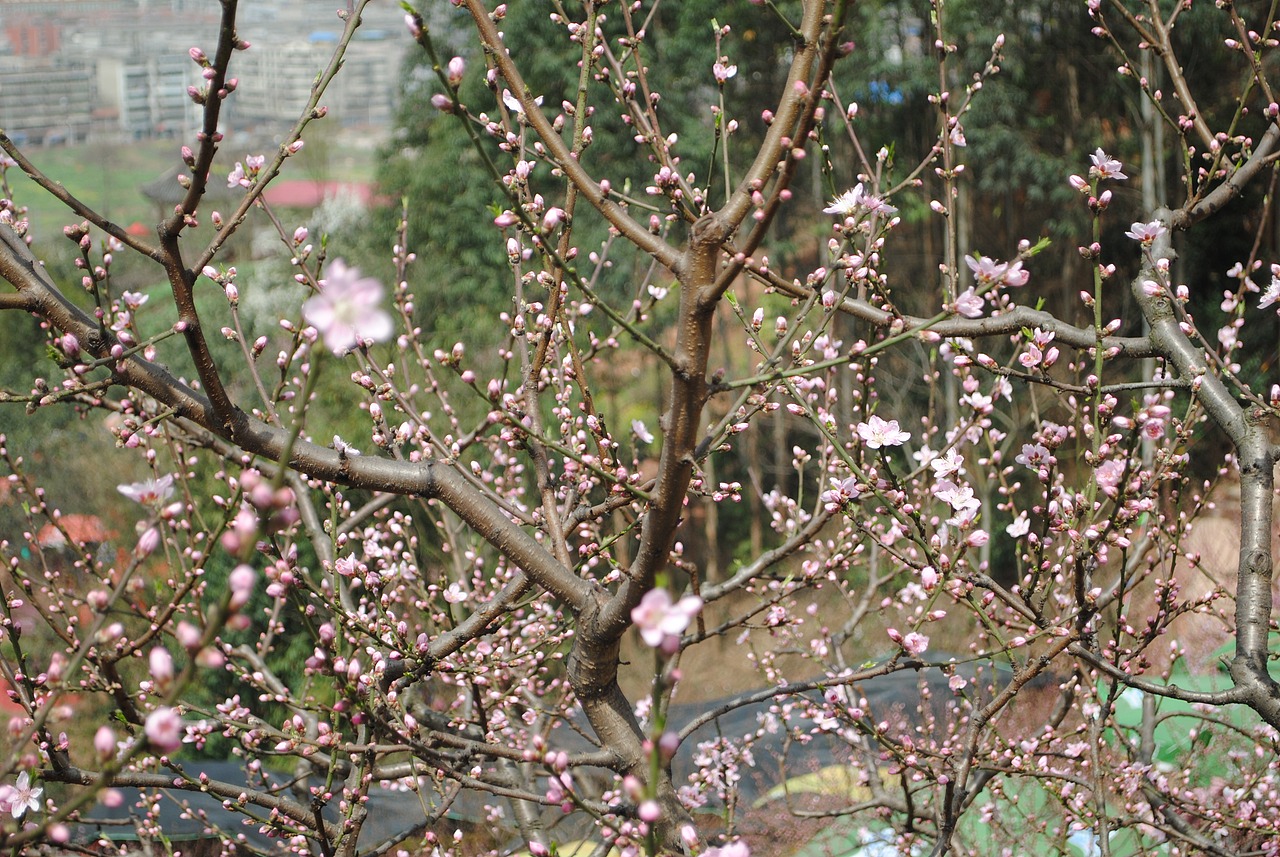 那些很美的地方不属于我（图ZNTMyMDgwNA==） - 风光摄影 - 站酷设计师欧阳紫嫣原创素材 - 站酷ZCOOL