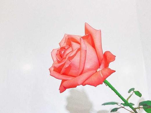 AE动效临摹（个人主页-ZMzYzMTg3ODg=） - 动效设计 - 站酷设计师沫瑶宝贝吖原创素材 - 站酷ZCOOL