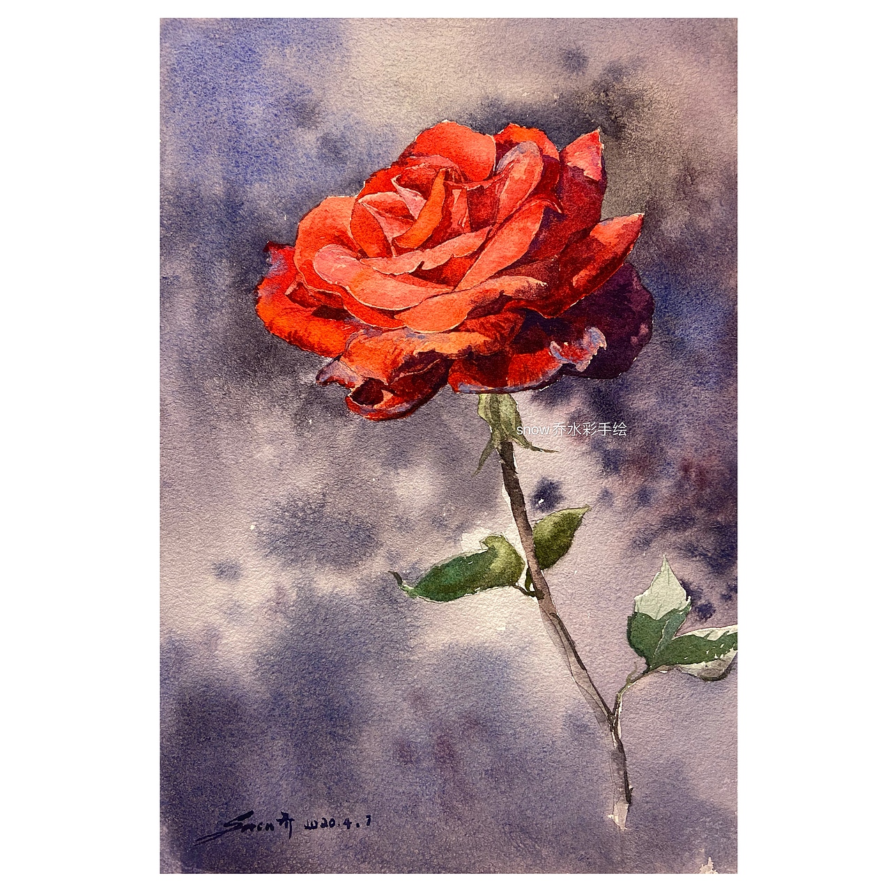 水彩｜单枝玫瑰系列（图ZMjA1MTUwODY0） - 绘画 - 站酷设计师snow乔水彩手绘原创素材 - 站酷ZCOOL